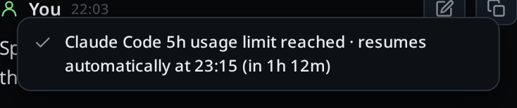 A toast repeating the full usage-limit line after the paused segment was tapped.